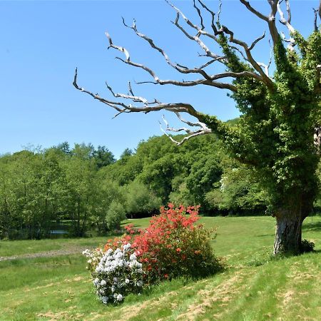 River Lodge - Cornwall Cardinham المظهر الخارجي الصورة