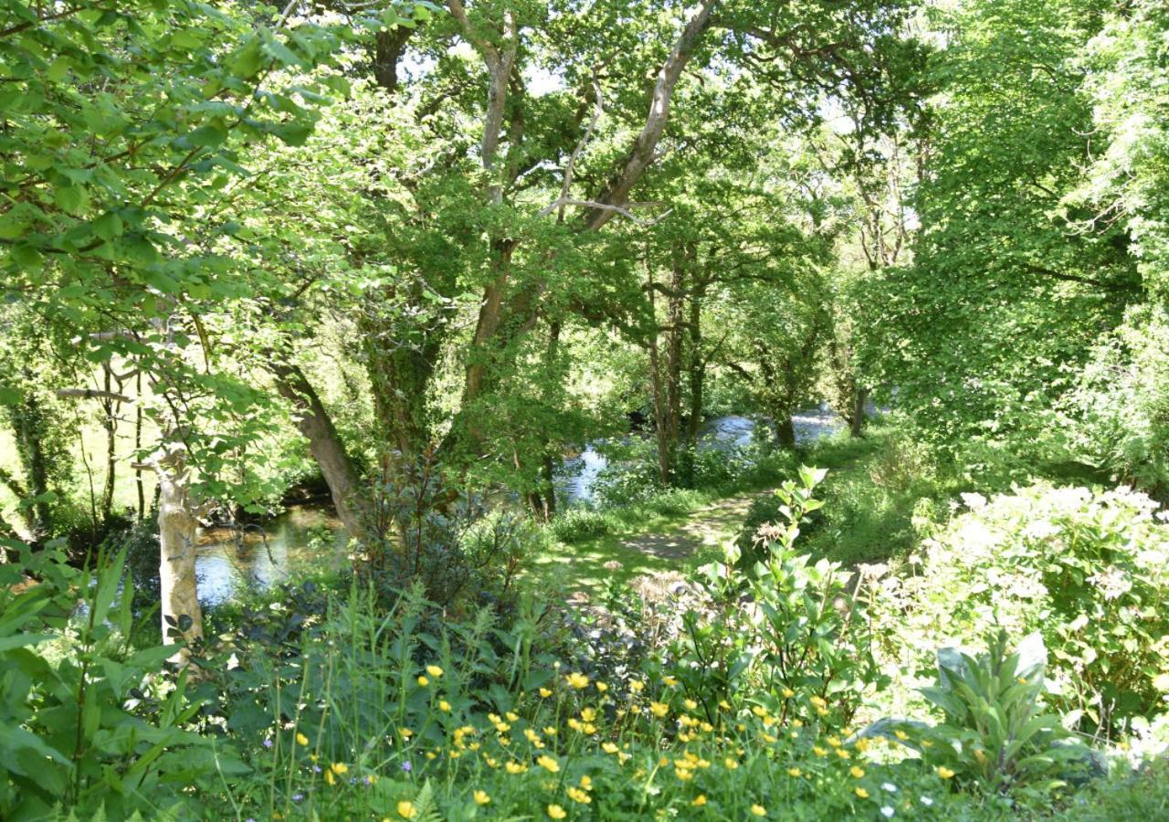 River Lodge - Cornwall Cardinham المظهر الخارجي الصورة