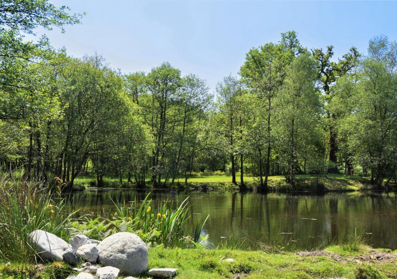 River Lodge - Cornwall Cardinham المظهر الخارجي الصورة
