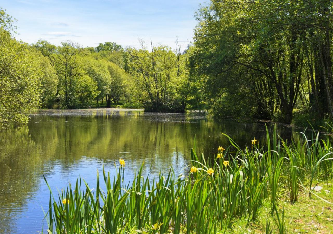 River Lodge - Cornwall Cardinham المظهر الخارجي الصورة