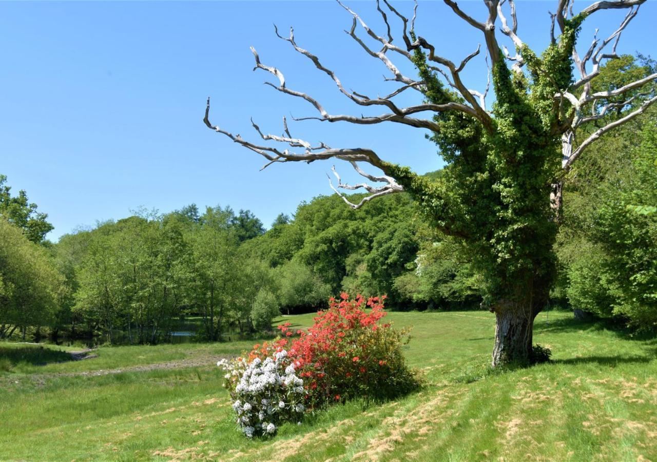 River Lodge - Cornwall Cardinham المظهر الخارجي الصورة