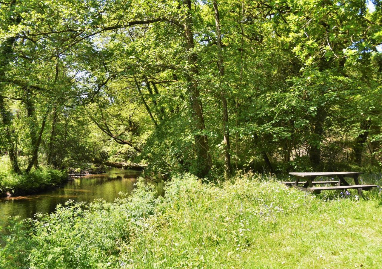 River Lodge - Cornwall Cardinham المظهر الخارجي الصورة